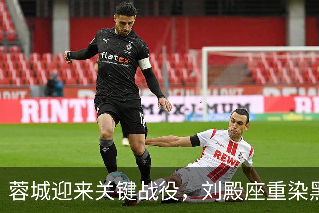 蓉城迎来关键战役，刘殿座重染黑发备战冠争